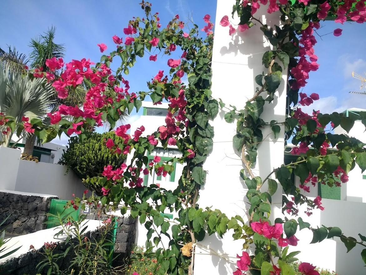 הוילה קוסטה טגוויסה Casa Maracuya מראה חיצוני תמונה