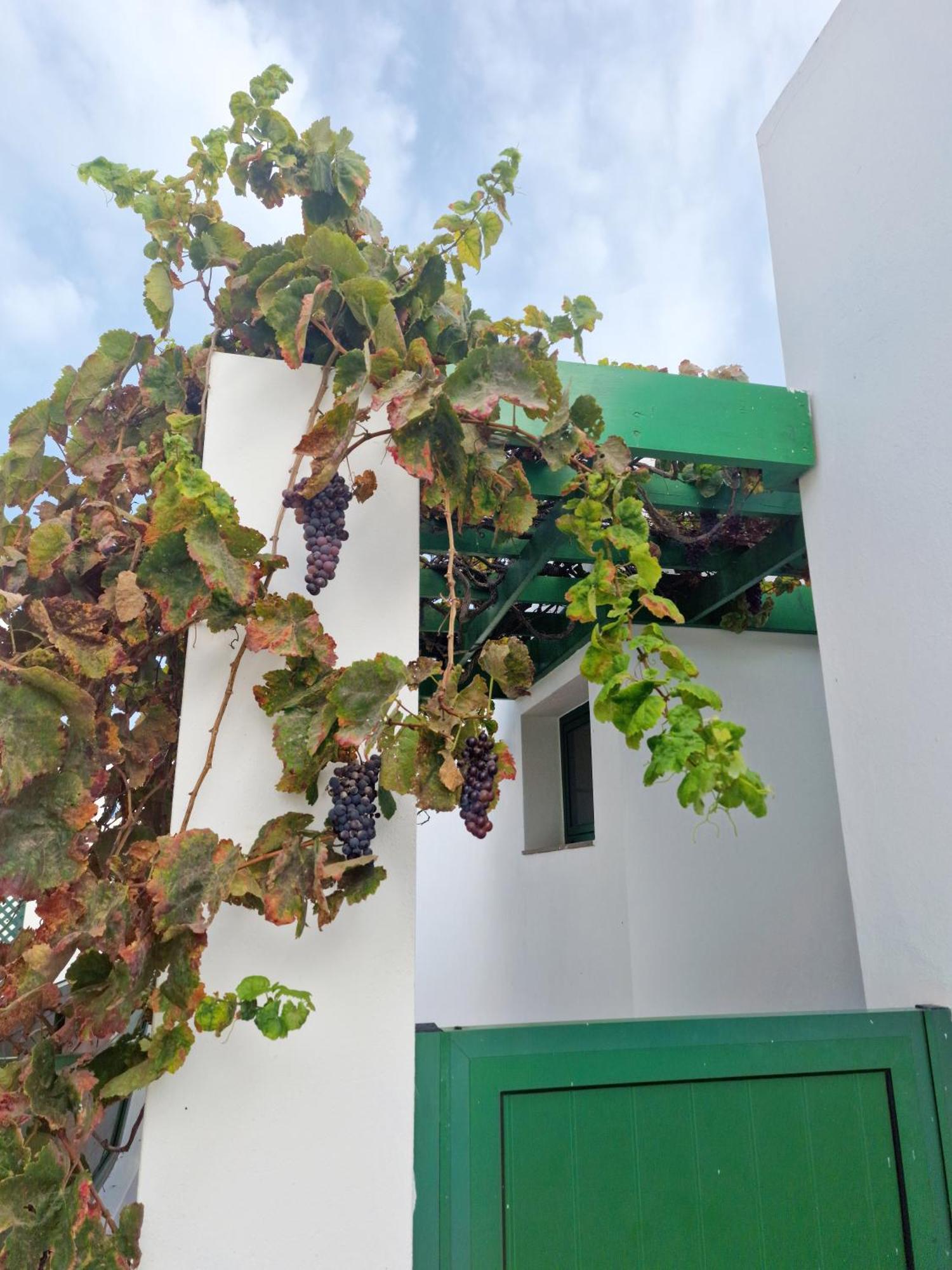 הוילה קוסטה טגוויסה Casa Maracuya מראה חיצוני תמונה