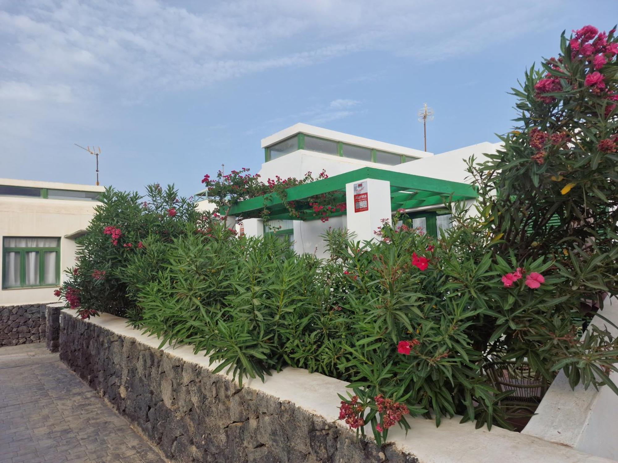 הוילה קוסטה טגוויסה Casa Maracuya מראה חיצוני תמונה